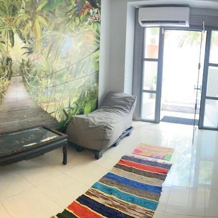 Αρέθουσα Jungle Τριάρι 65Τμ. Villa Chalkís Kültér fotó